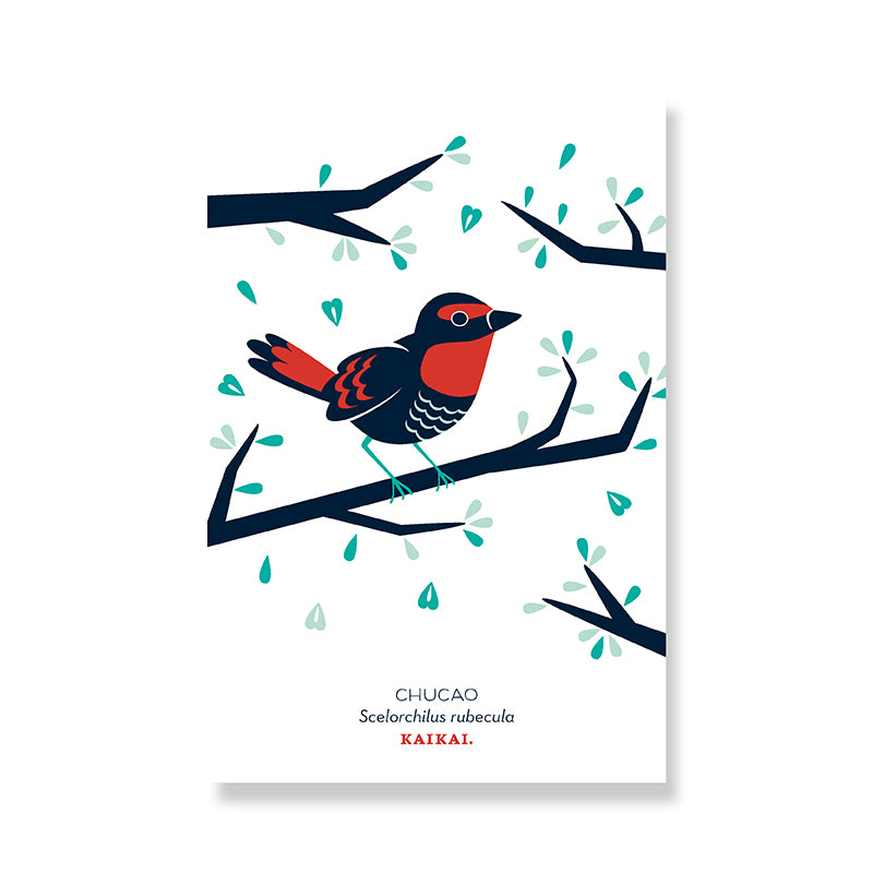 POSTAL AVES CHILENAS (CHUCAO)