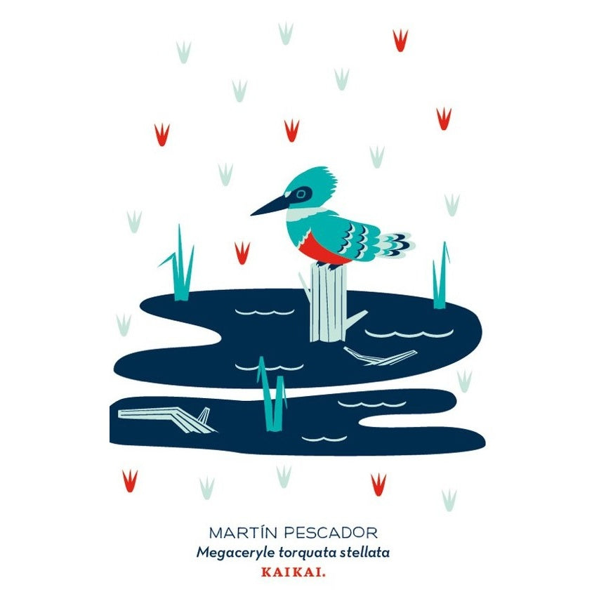 POSTAL AVES CHILENAS (MARTIN PESCADOR)