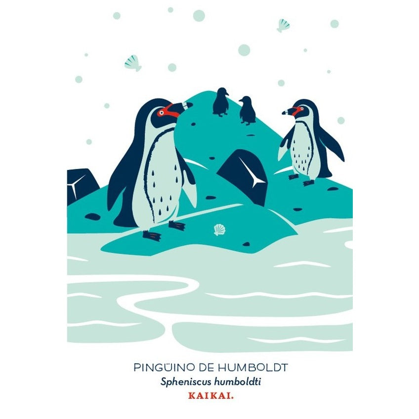 POSTAL AVES CHILENAS (PINGUINO DE HUMBOLDT)