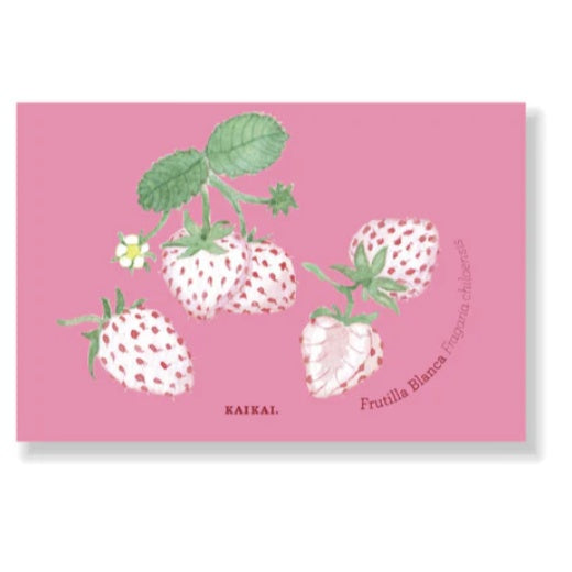 IMAN FRUTAS NATIVAS FRUTILLA BLANCA