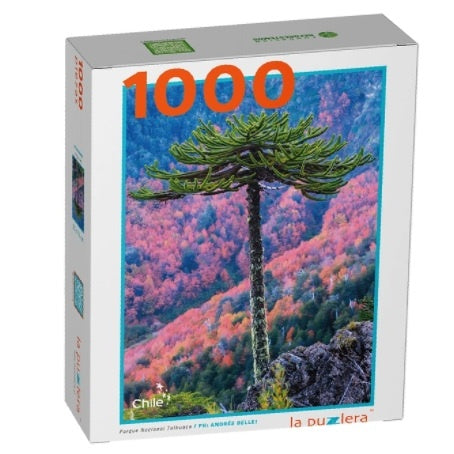 PUZZLE PARQUE NACIONAL TOLHUACA (1000 PIEZAS)