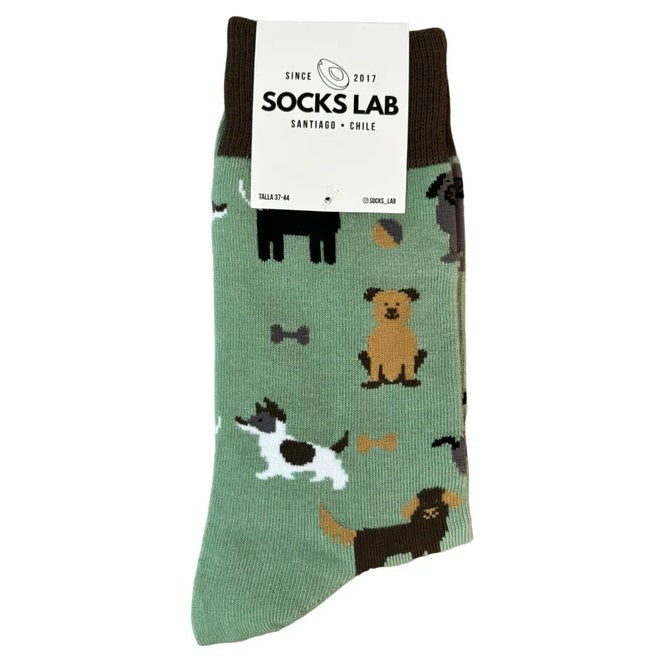 CALCETINES PERROS 2