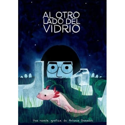 AL OTRO LADO DEL VIDRIO