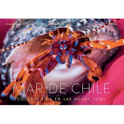 MAR DE CHILE