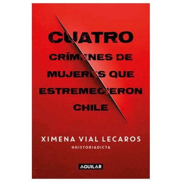 CUATRO CRIMENES DE MUJERES QUE ESTREMECIERON CHILE