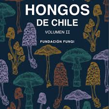 HONGOS DE CHILE II