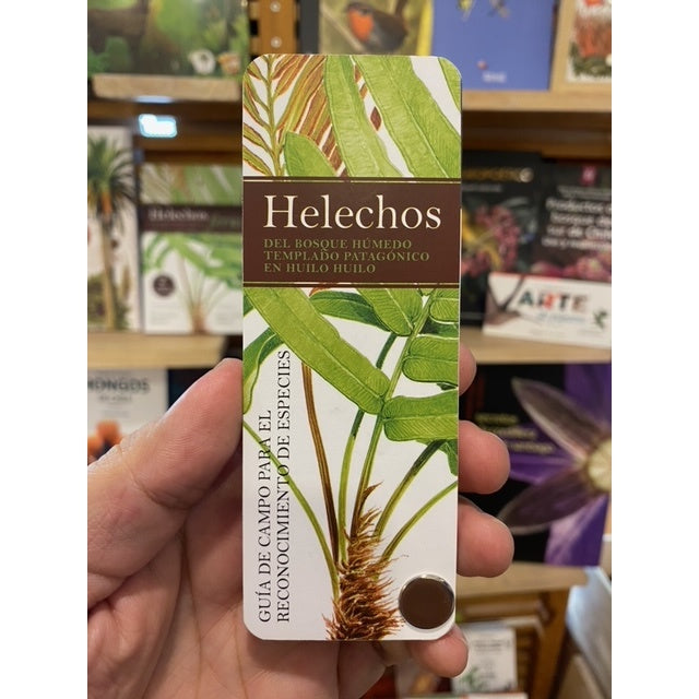HELECHOS PANTONERA