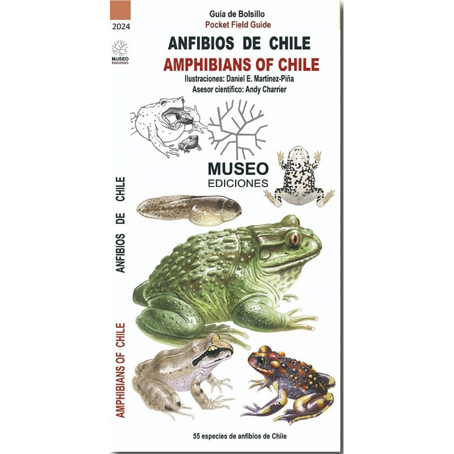 GUIA DE BOLSILLO ANFIBIOS DE CHILE