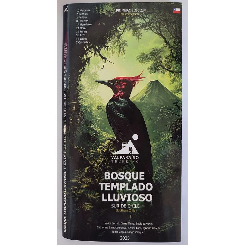 BOSQUE TEMPLADO LLUVIOSO DESPLEGABLE
