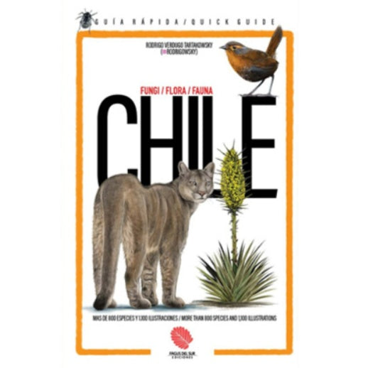 CHILE UNA GUIA RAPIDA