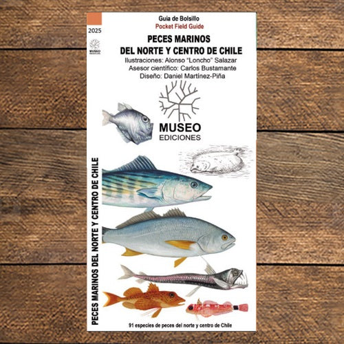 PECES MARINOS DEL NORTE Y CENTRO DE CHILE