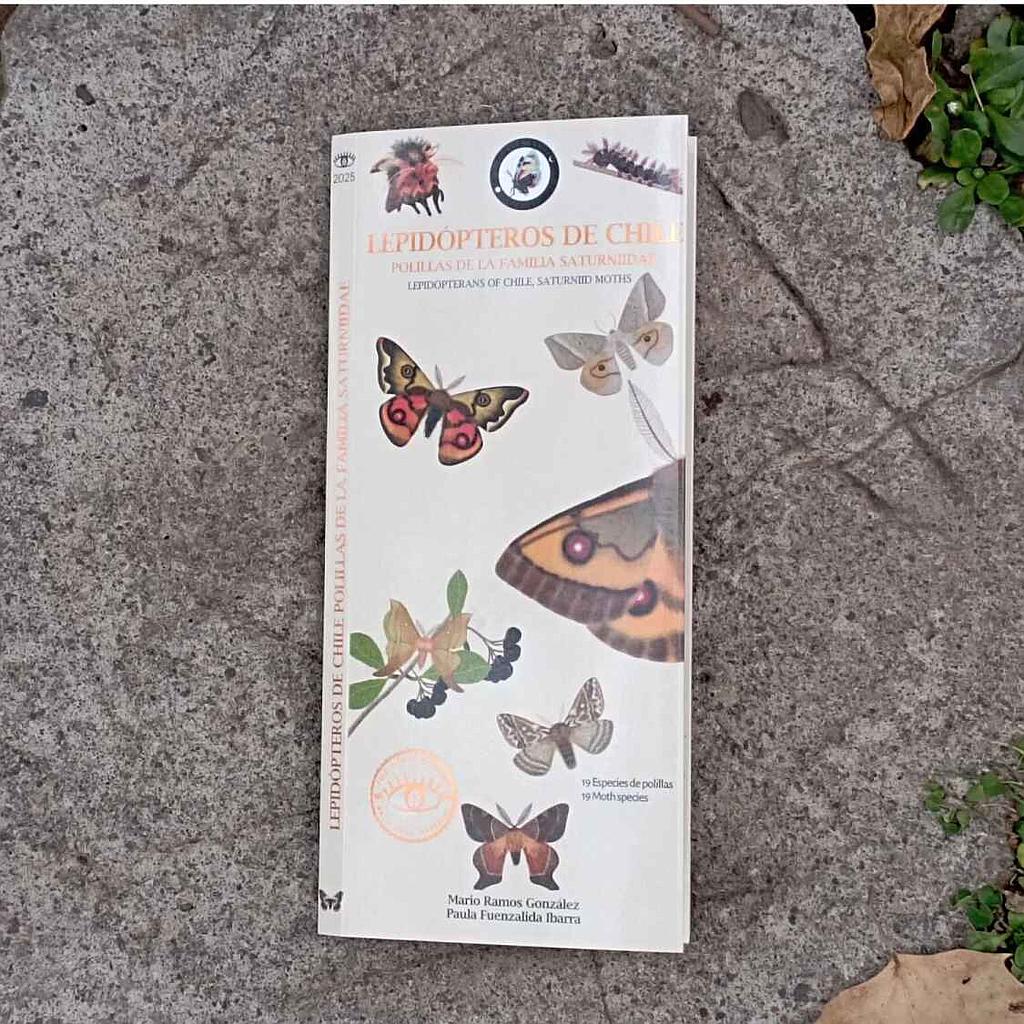 GUIA DE BOLSILLO LEPIDOPTEROS DE CHILE (SATURNIIDAE)
