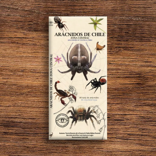 ARACNIDOS DE CHILE ZONA CENTRAL