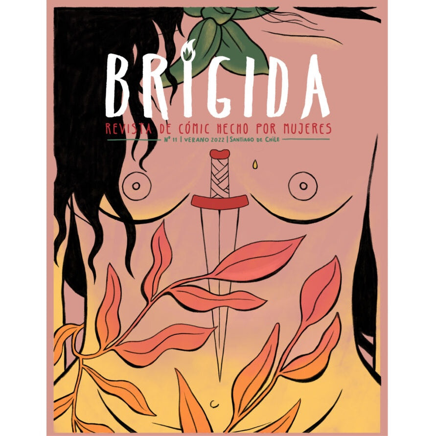REVISTA BRIGIDA 11