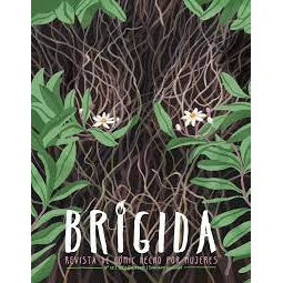 REVISTA BRIGIDA 12