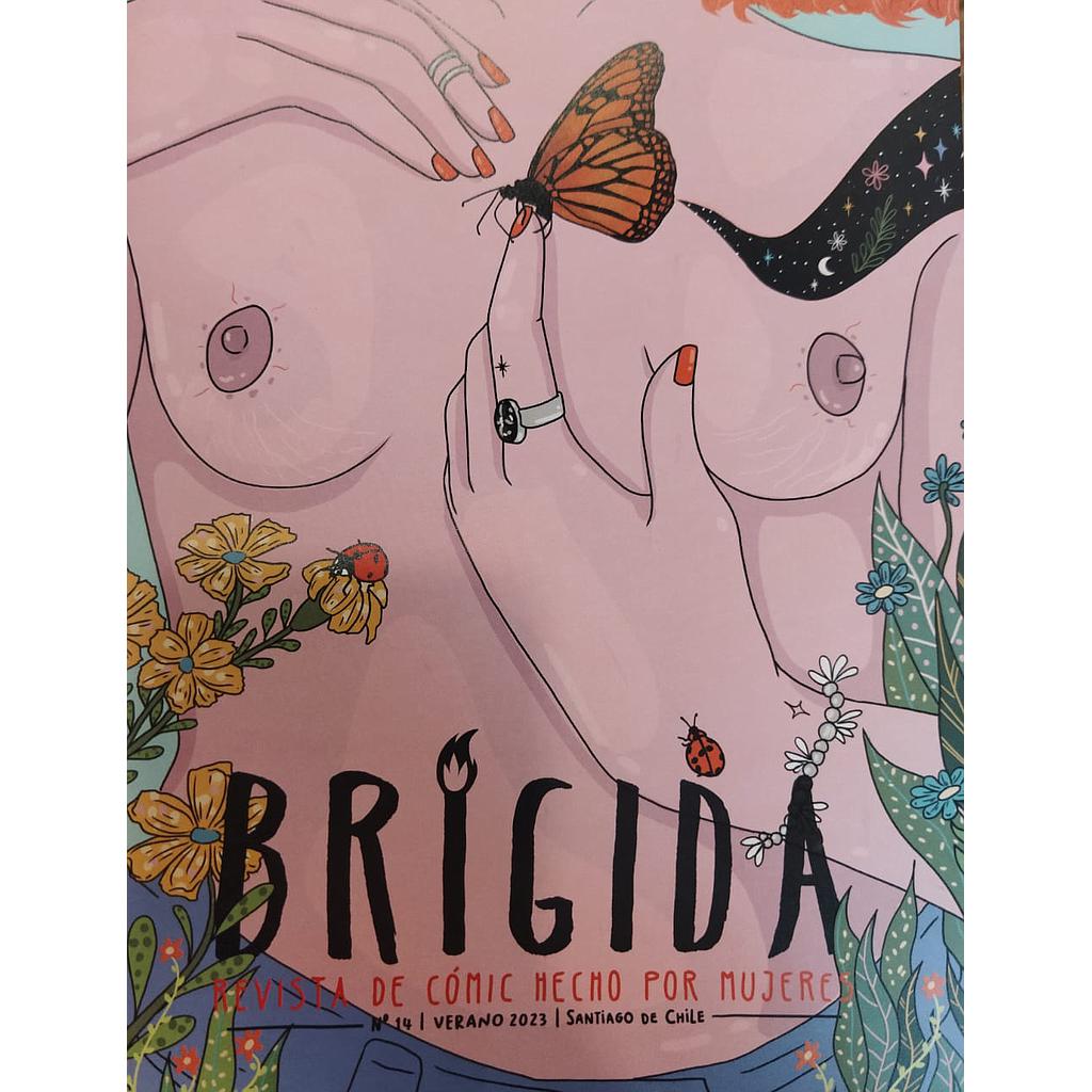 REVISTA BRIGIDA 14