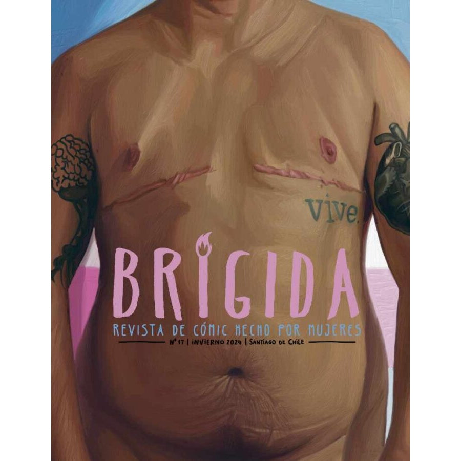 REVISTA BRIGIDA 17