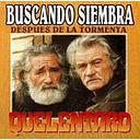 BUSCANDO SIEMBRA DESPUES DE LA TORMENTA (REEDICION)