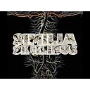 SIMILIA SIMILIBUS