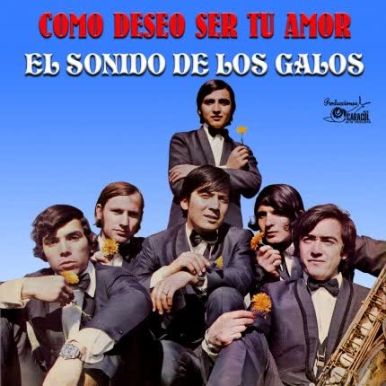LOS GALOS - COMO DESEO SER TU AMOR. EL SONIDO DE LOS GALOS | VINILO