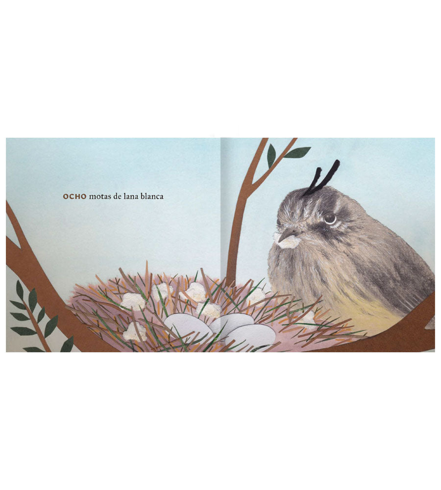 PAULINA JARA STRAUSSMANN - NIDO | LIBRO
