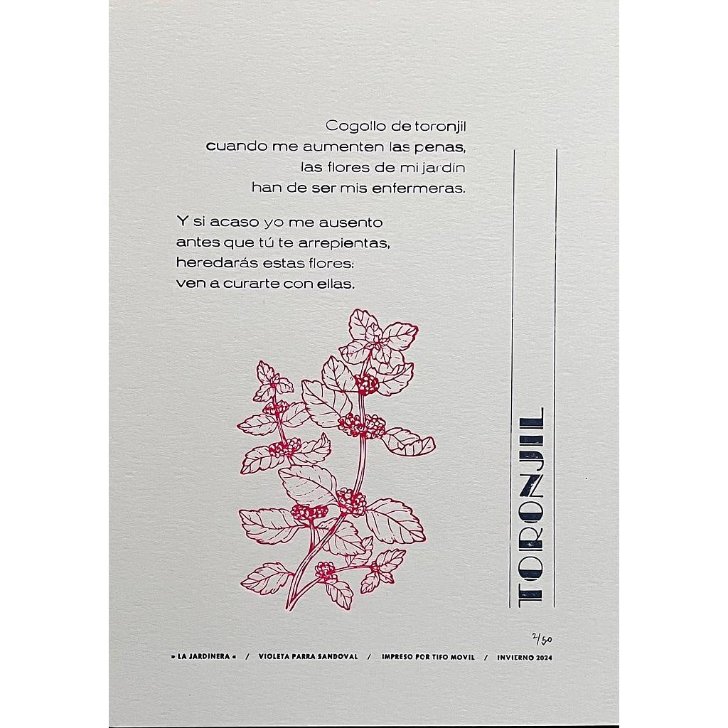 TIPO MOVIL - LAMINA LA JARDINERA - TORONJIL | DISEÑO