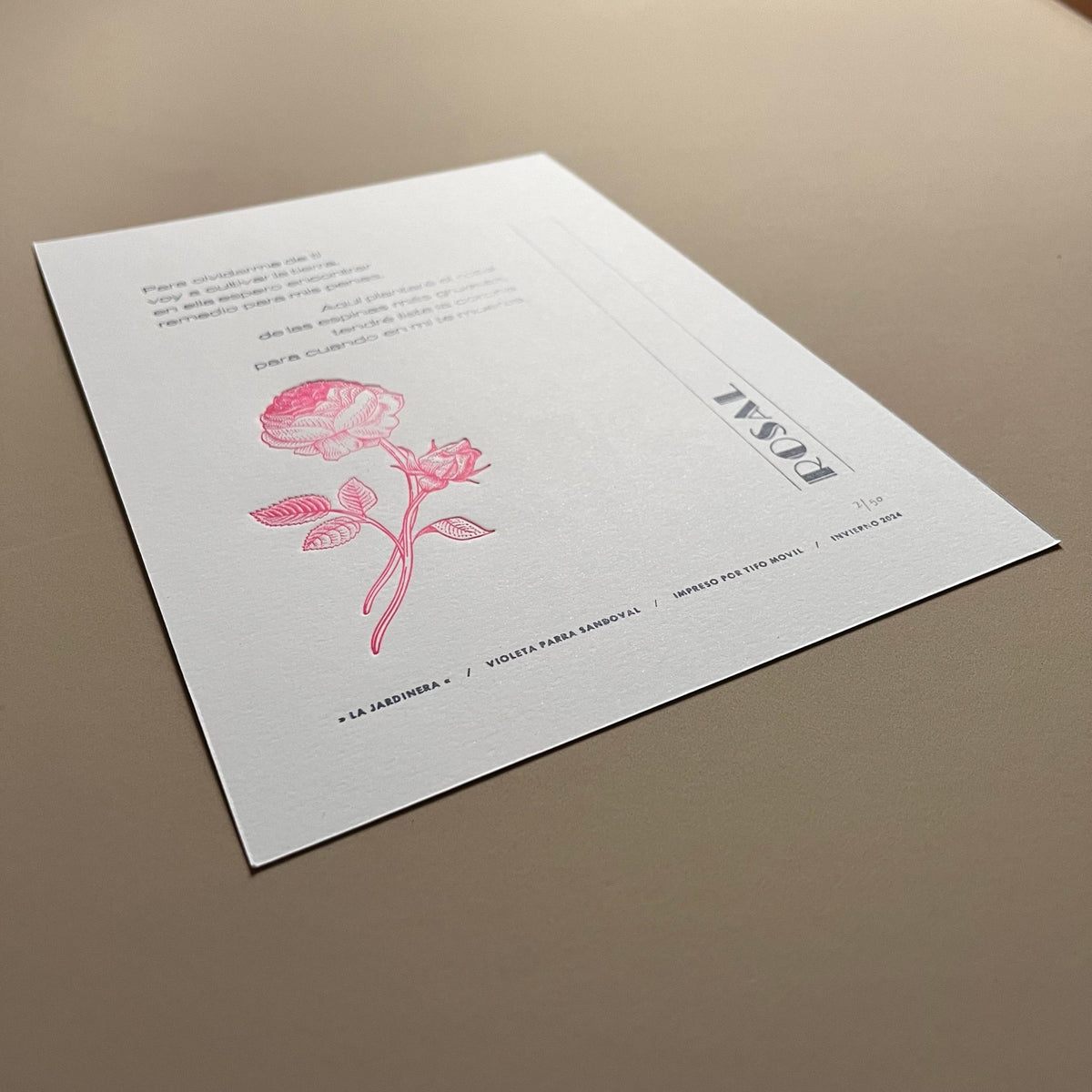 TIPO MOVIL - LAMINA LA JARDINERA - ROSAL | DISEÑO