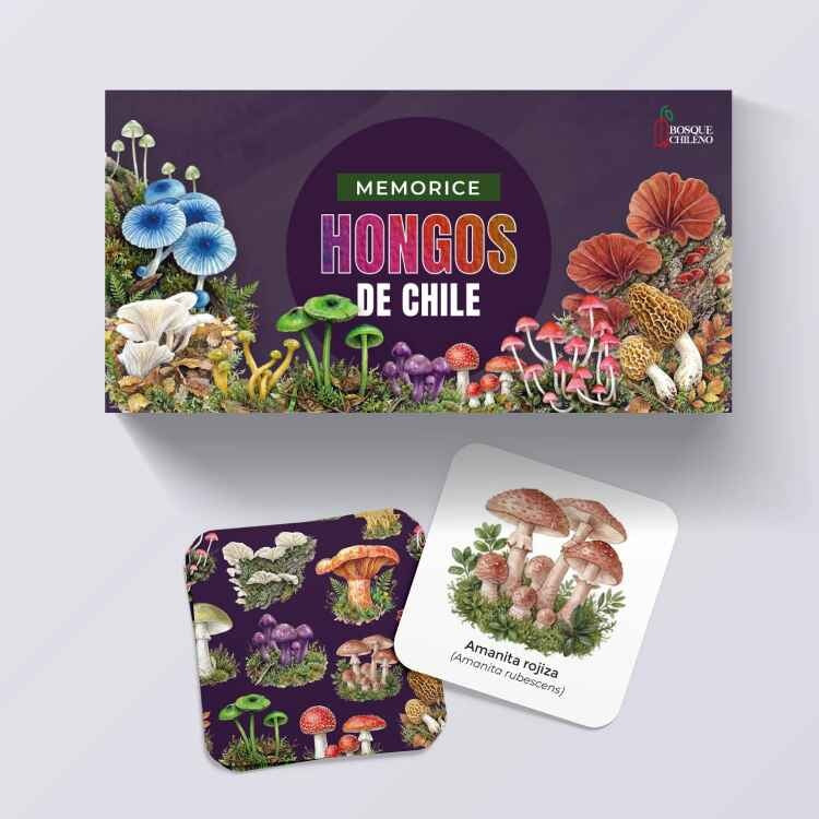 MEMORICE HONGOS DE CHILE | DISEÑO