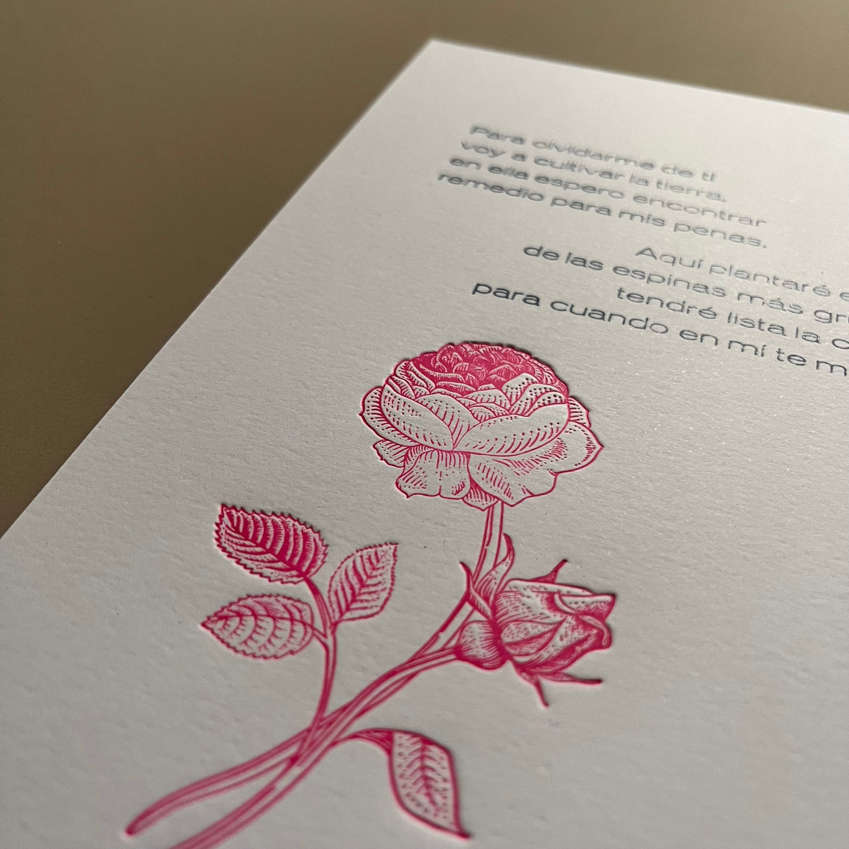 TIPO MOVIL - LAMINA LA JARDINERA - ROSAL | DISEÑO