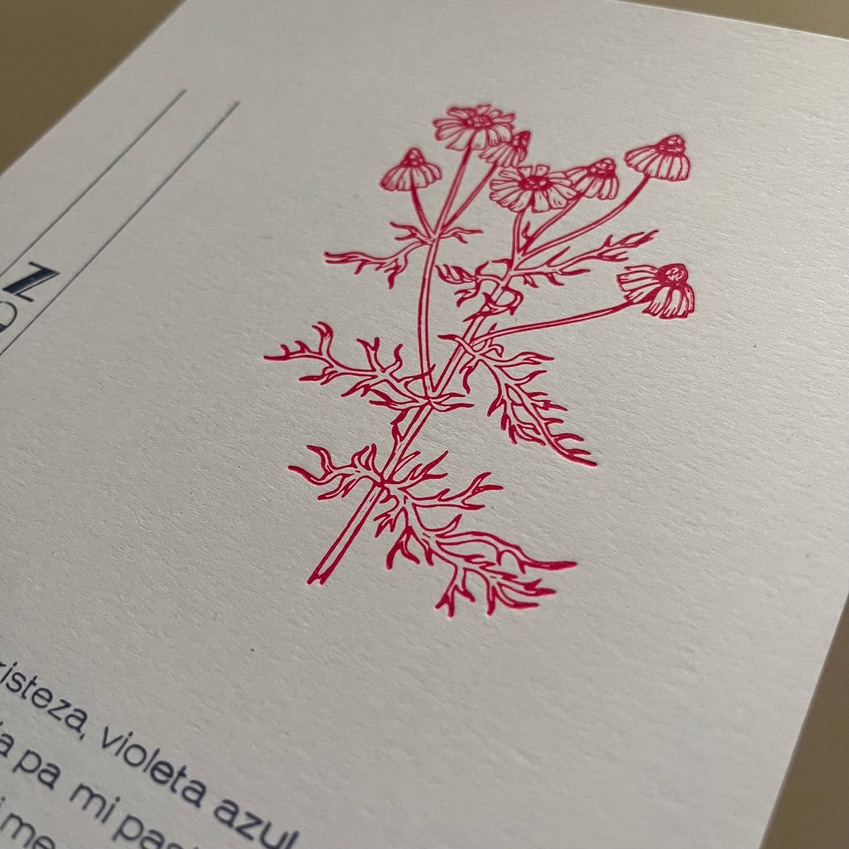 TIPO MOVIL - LAMINA LA JARDINERA - MANZANILLON | DISEÑO