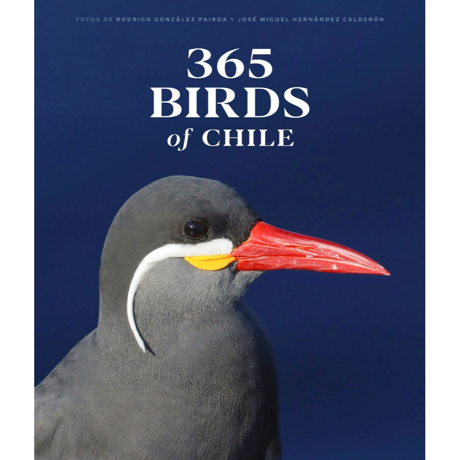 365 BIRDS OF CHILE - RODRIGO GONZÁLEZ PAIROA, JOSE MIGUEL HERNANDEZ CALDERON | LIBRO