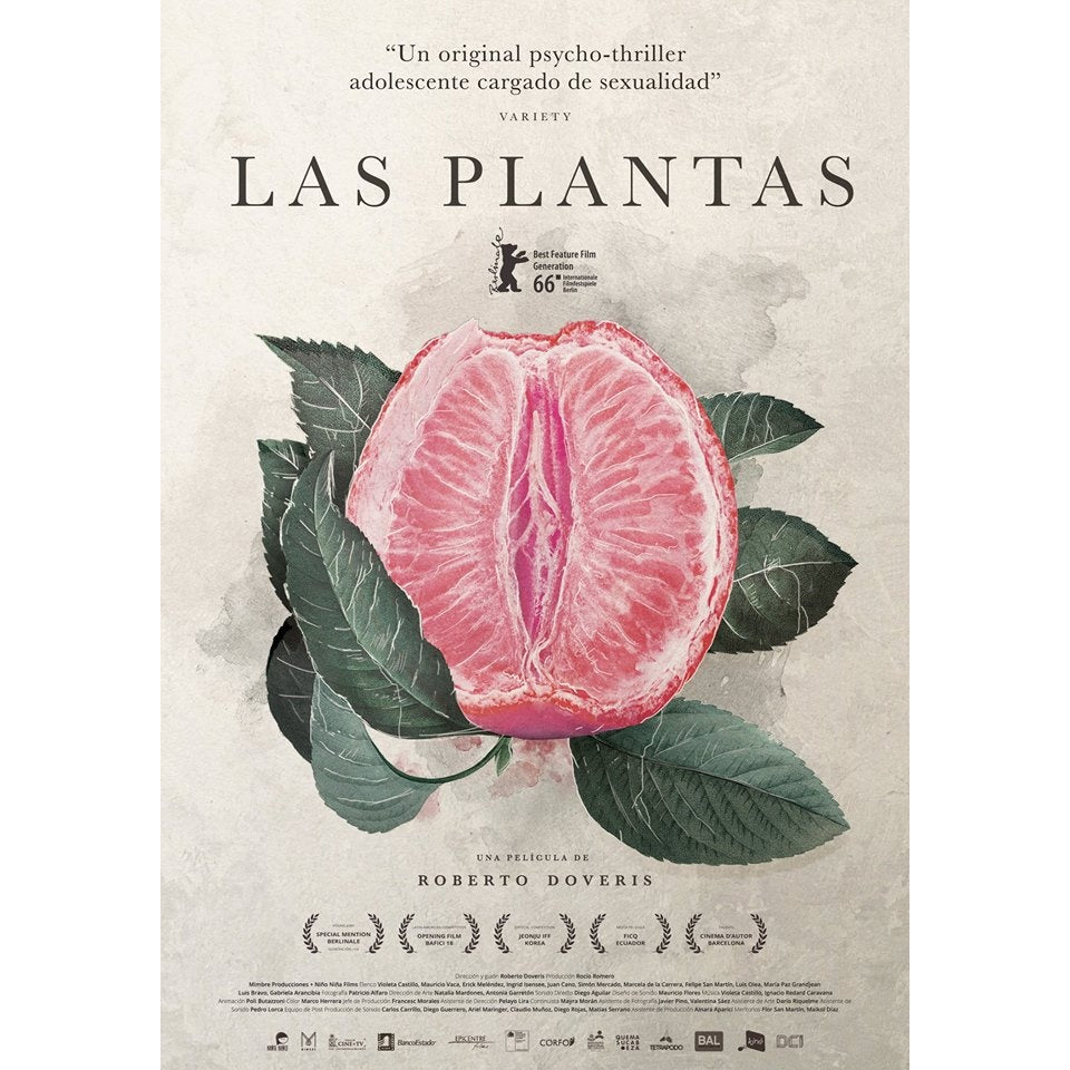 LAS PLANTAS