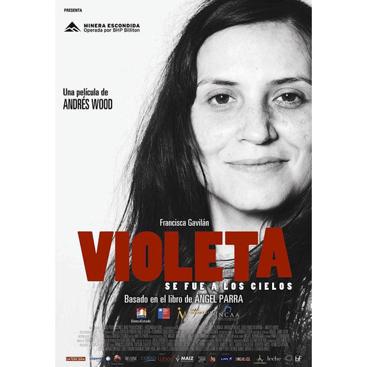 VIOLETA SE FUE A LOS CIELOS (DVD)