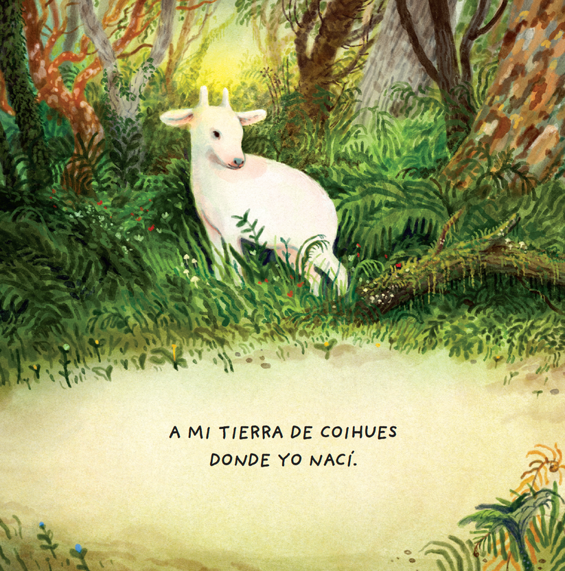 DULCE PUDU BLANCO - PAULINA JARA; SEBASTIÁN ILABACA | LIBRO