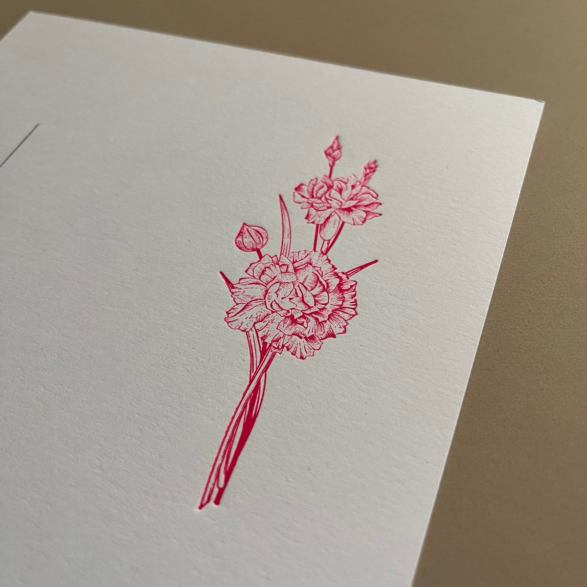 TIPO MOVIL - LAMINA LA JARDINERA - CLAVELINA | DISEÑO