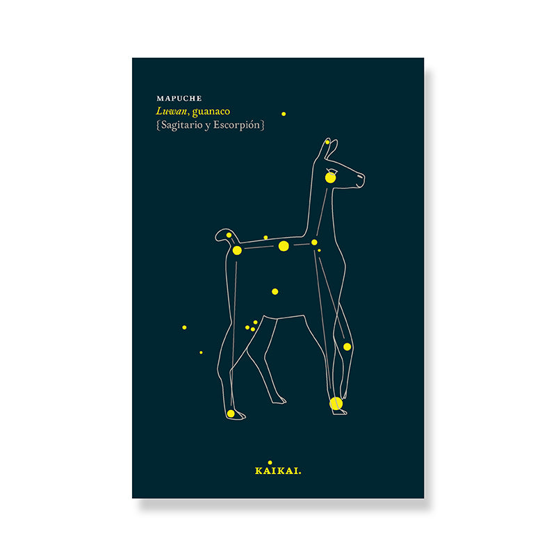 POSTAL CONSTELACIONES (GUANACO)
