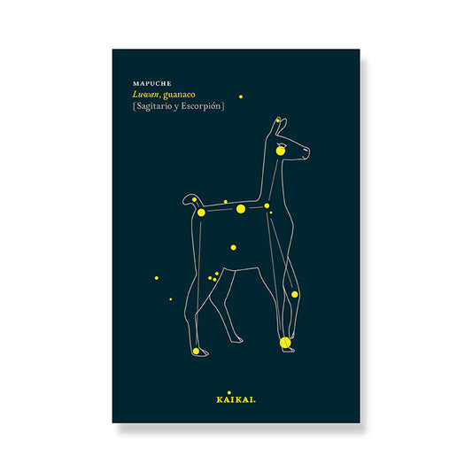 POSTAL CONSTELACIONES (GUANACO)
