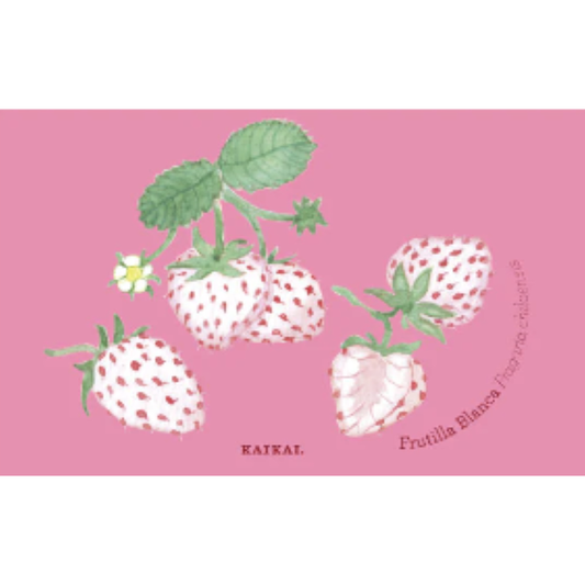 POSTAL FRUTAS NATIVAS (FRUTILLA)