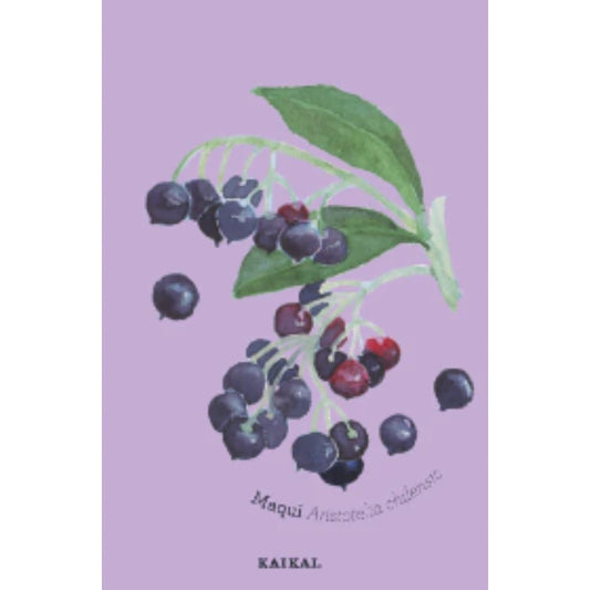 POSTAL FRUTAS NATIVAS (MAQUI)