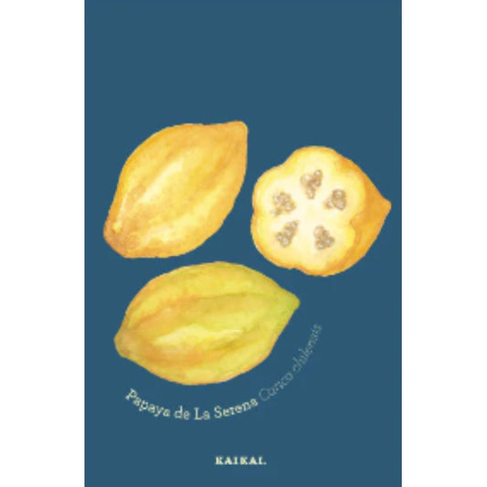 POSTAL FRUTAS NATIVAS (PAPAYA)