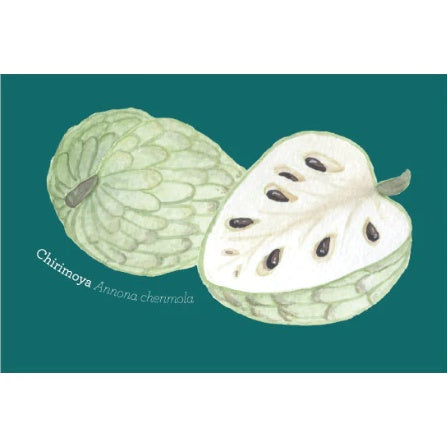 POSTAL FRUTAS NATIVAS (CHIRIMOYA)