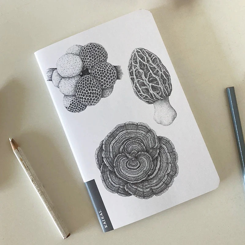 LIBRETA FUNGA NATIVA