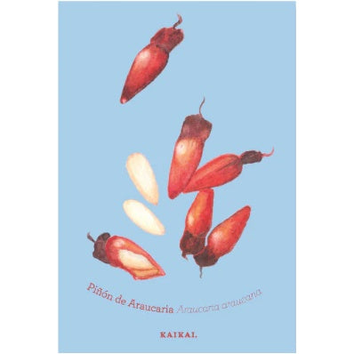 POSTAL FRUTAS NATIVAS (PIÑONES)