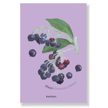 IMAN FRUTAS NATIVAS MAQUI