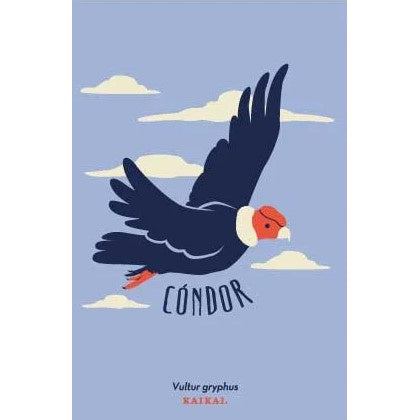 POSTAL CONDOR