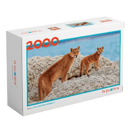 PUZZLE PUMAS (2000 PIEZAS)