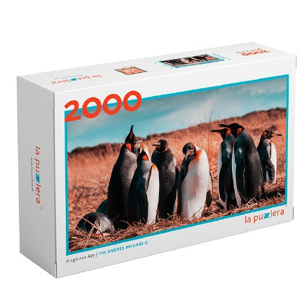 PUZZLE PINGUINO REY (2000 PIEZAS)
