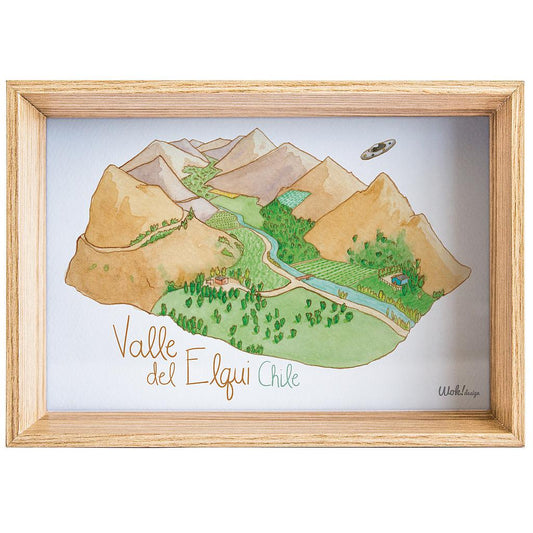 CUADRO VALLE DEL ELQUI (10X15)