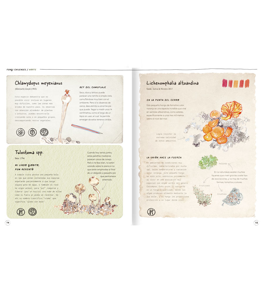 CATALINA MEKIS ROZAS - FUNGI CHILENSES | LIBRO