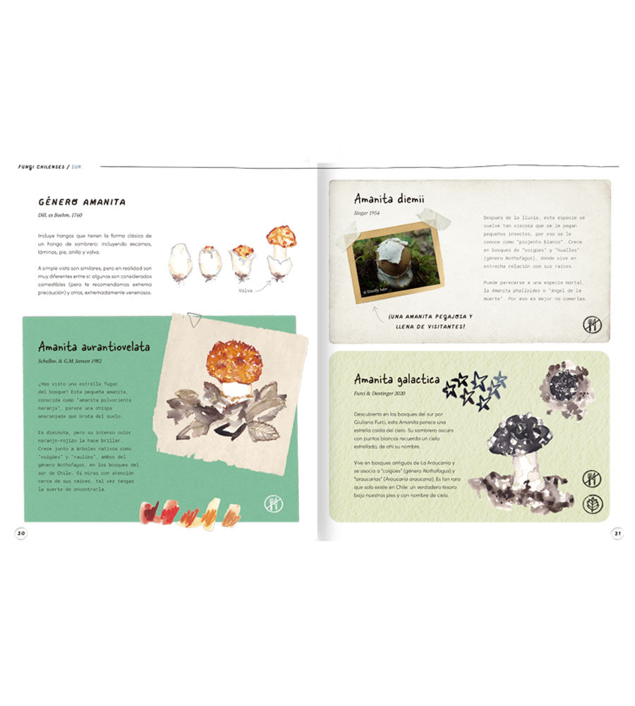 CATALINA MEKIS ROZAS - FUNGI CHILENSES | LIBRO